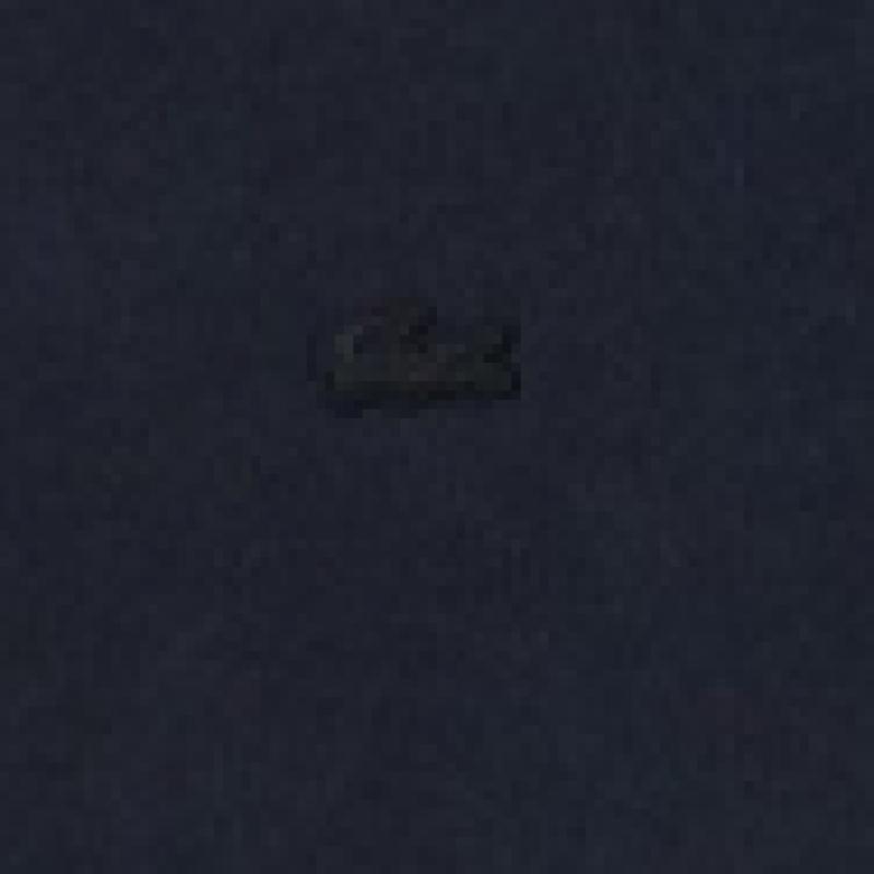 Lacoste Мужская футболка с коротким рукавом из окрашенной ткани TH2835 54N 031