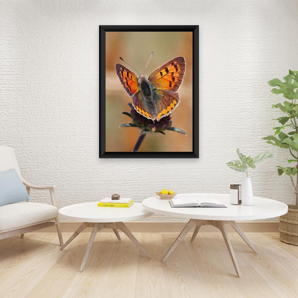 DIY Бабочка 5D алмазная живопись полная круглая дрель животное Алмазная вышивка наборы крестиков мозаика подарок настенное искусство домашний декор