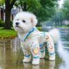 Spring/Summer Transparent Waterproof Raincoat for Small To Medium Dogs, Rainbow Design - Ideal for Teddy & Bichon Frise