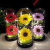 Exclusive Graduation Gift: Sunflower Night Light Glass Ornament with Creative Soap Flower