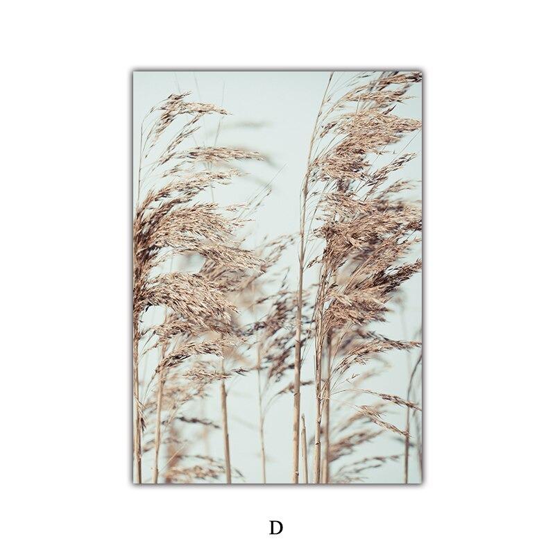 Семена цветов пустыни Скандинавский природный ландшафт Постер Фреска Настенное искусство для пар Бохо Нордический декор настенные картины Идеально для