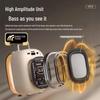 Караоке Bluetooth-колонка Newmine KS10 (Китайская версия)