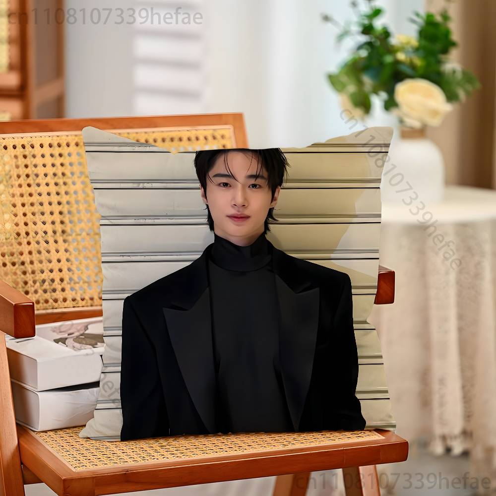 BByeon WWoo Seok Pillow Cases for Bedroom Living Room Sofa Home Decor Polyester Cushion Cover with Zipper