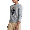 Polo Ralph Lauren Polo Bear Knitwear Standard Men's Gray MNPOSWE16820612-020