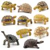 Simulation Turtle Action Figures Leatherback Tortoise Tortoise Animals Figurines Collection