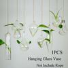 Creative Home Decoration Garden Supplies Hanging Glass Plant Pot Terrarium Container Glass Vase