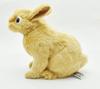 BH7022 HANSA Netherland Dwarf 21