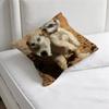 Cute Baby MMeerkat Fashion Square Pillow Case Durable Throw Pillow Cover for Sofa Couch Chair