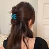 Candy Color Letter Hair Clip Grab Clip Cute Hairpin Fashion Acetate Hair Claw  Female