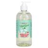Fresh & Clean Hand Soap, Frankincense and Pine, 16.9 Oz (500 Ml)