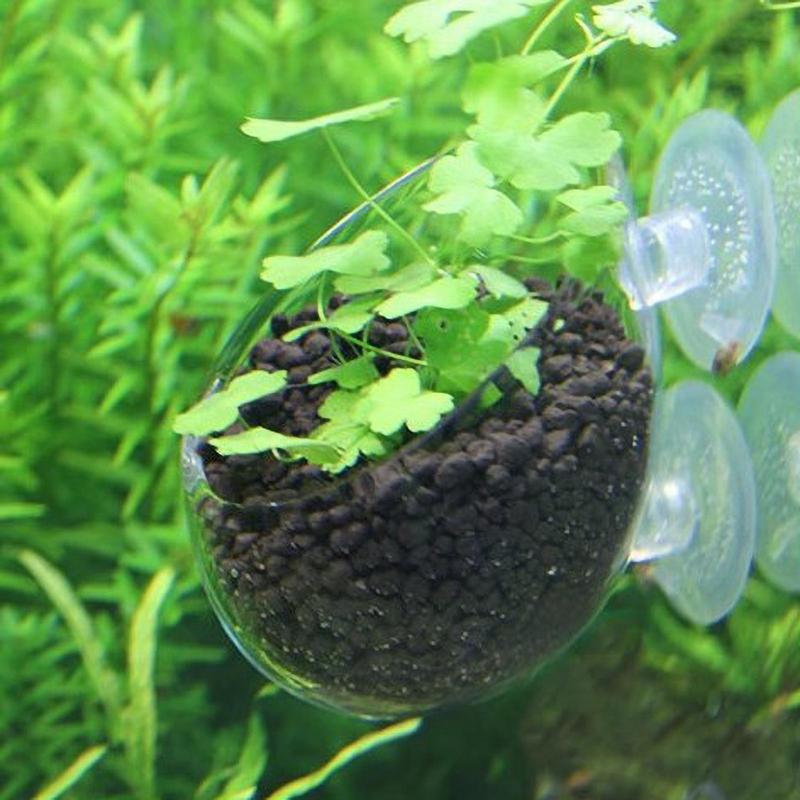 Аквариумный горшок для растений, стеклянный цилиндрический стакан с присосками для выращивания семян водных растений, коралловый мох, украшение для аквариума