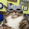 3D-печатная маска кошки, забавный щит для морды кошки-викинга для маскарада, косплея, костюма на Хэллоуин, аксессуаров для вечеринки.