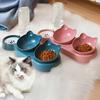 Double Pet Food Bowl And Water Bottle Set 3-in-1 Detachable Tilted Cat Dog Feeder Bowl with Automatic Water Dispenser for Small Medium Dogs Cats