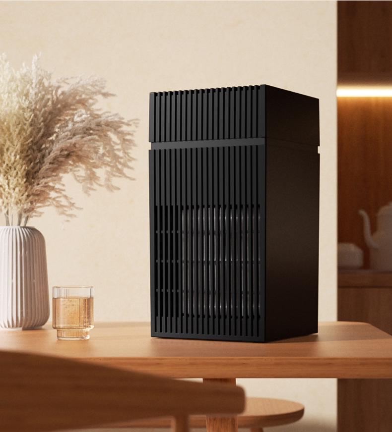 Indoor Air Purifier: Eliminates Smoke, Formaldehyde, Odors, and Adds Negative Ions