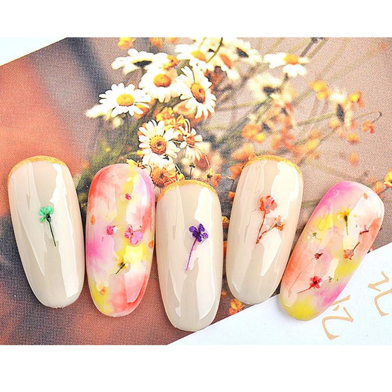 Микс сушеные цветы украшения для ногтей натуральные цветочные наклейки в виде листьев 3D дизайн ногтей лак маникюрные аксессуары