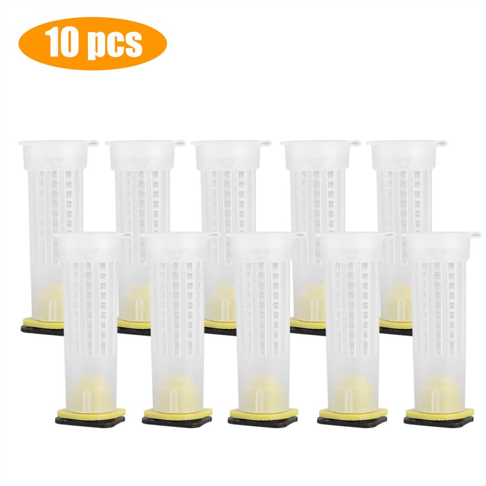 10 упаковок пчеловодческих наборов для выращивания пчелиных маток, клетки для пчелиных маток, роликовые инструменты для пчеловода