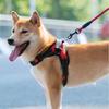 Adjustable Dog Harness Vest Pet Leash 150cm Strong Reflective Leash for Small To Large Dogs Drag Pull Tow