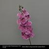 9 Heads Artificial Butterfly Orchid 98cm Fake Phalaenopsis Flower  Wedding Decoration