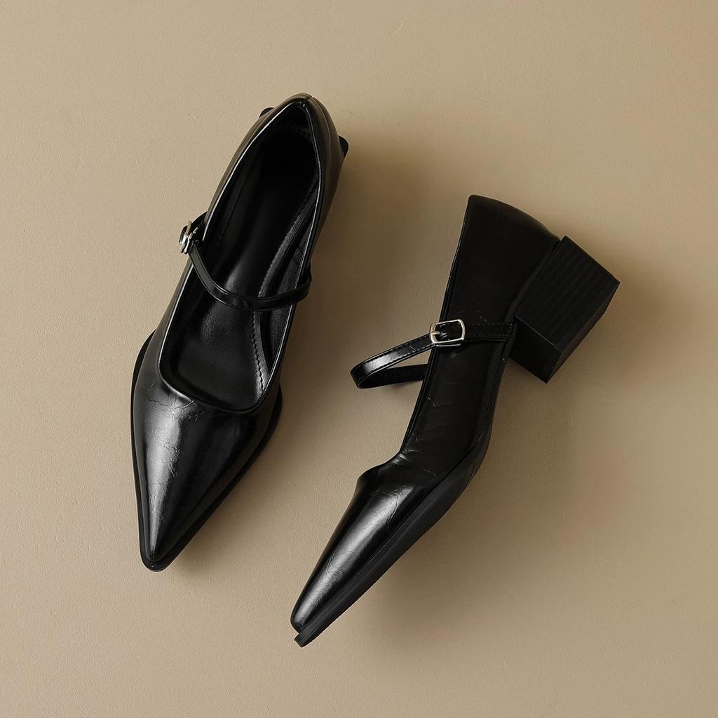 Fashion Woman Fashion Pointy Mary Jane Shoes 2025 Spring New Elegant Pumps Female Sexy Pointed Toe High Heels Thick Heel Party Shoes