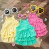 New Spring and Summer Pet Dog Princess Dress Thin Bichon Frise Small Dog Clothing Cat Clothes Cat