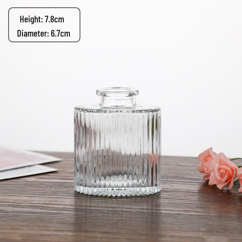 Small French Retro Glass Hydroponic Vase for Home Decor