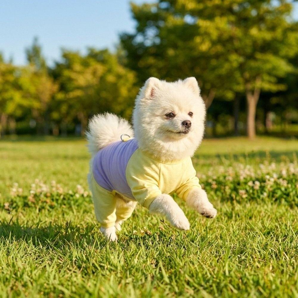 Quick Drying Dog Cooling Jumpsuit Ice Silk Pet Summer Clothes Dog Four-legged Clothes Home Wear