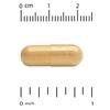 High Absorption CoQ10 with BioPerine®, 100 mg, 120 Veggie Caps