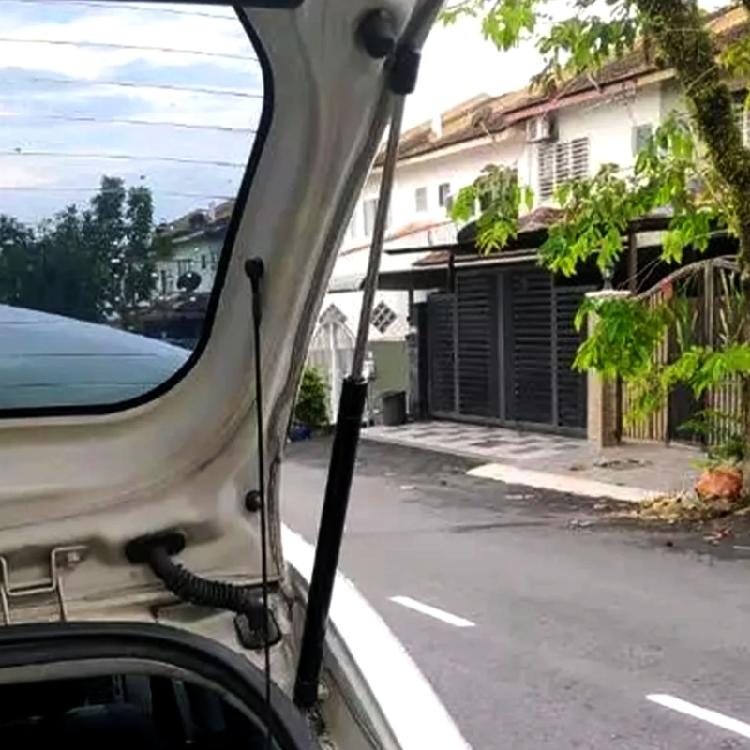 Trunk Lid Support Struts Smooth & Quiet Operate Tailgate Gas Spring Corrosion Resistant Gas Spring for Automotives