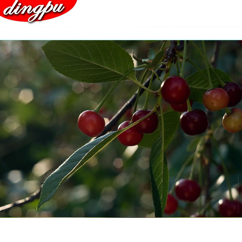 Полная круглая алмазная живопись 5D Птица Алмазная вышивка Животное Ручная работа Мозаика Украшение для дома