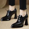 2025 New Color Matching Single Shoes Women's Autumn and Winter Pointed High Heels Thick Heel Trend Design Sense Lace-up Small Leather Shoes Women