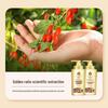 Bee & Flower Herbal Essence Moisturizing Conditioner