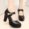 Женские туфли-лодочки на платформе, весна 2025 г., на высоком каблуке с острым носком, с ремешком на щиколотке и пряжкой, модные черные офисные туфли для женщин, большие размеры 33-43