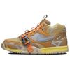Air Trainer 1 'Coriander' DH7338-300