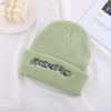 Letter Embroidered Wool Hat Korean Version Ins Fashionable Autumn and Winter Style Warm and Cold Knitted Hat Striped Versatile Cold Hat