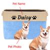 Personalized Dog Toy Box Storage Custom Dog Basket With Pet Name Cat Toy Storage Gift For Pet Lovers