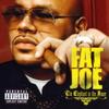 CD FAT JOE - The Elephant In The Room 5099952101229 Terror Squad En 2008 Europe Rap & Hip-Hop/R&B Used