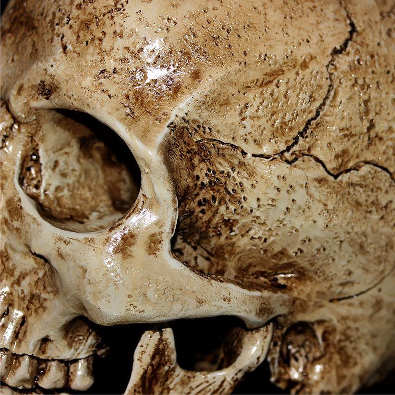 Реплика человеческого черепа из смолы, модель реалистичного скелета, ремесленный декор, в натуральную величину 1:1