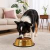 Stainless Steel Pet Feeding Bowl Gold Plated Cat Food Dish Dog Water Food Bowl  for Feeding