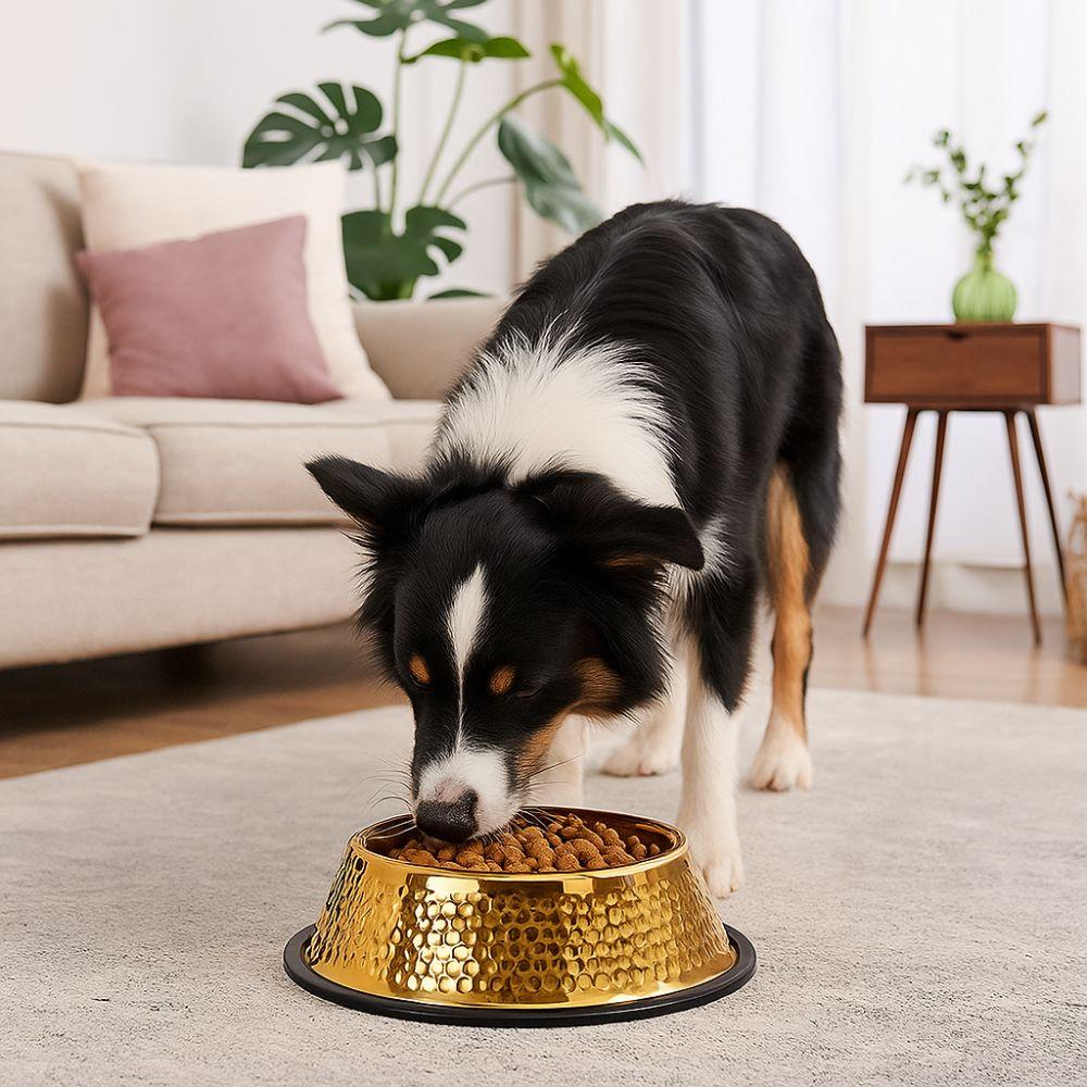 Stainless Steel Pet Feeding Bowl Gold Plated Cat Food Dish Dog Water Food Bowl  for Feeding