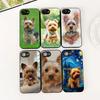 Casing for Apple iPhone 12 13 Pro Max Mini ProMax X XR Air 13Pro XS Phone Cover Soft Case Yorkshire Terrier Yorkie Dachshund Dog