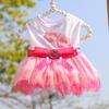 Pet Dress Eye-catching Breathable Cotton Pretty Bow Knot Dog Skirt