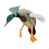 Mallard Ducks Models Motion Wind Rotation for Hunting Fly Duck Decoy