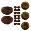 16Pcs Simulated Bird Nest Garden Bird Nest Ornaments Decorative Photography Props Dinner Plate Decor