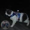 Cat Traction Rope Vest-Style Cat Chest Harness Reflective Anti-Stroke Cat Walking Rope Pet Traction Rope