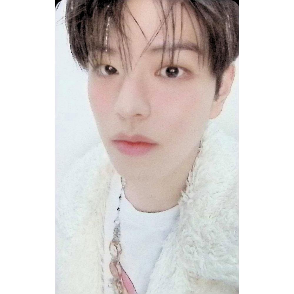 Stray Kids 5часов только POB 8EA SET