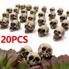 20 шт. Мини-черепа Декор Украшение для цветочного горшка Голова скелета Маленькие Мини-черепа Реалистично выглядящие Черепа скелетов Поделки Декор