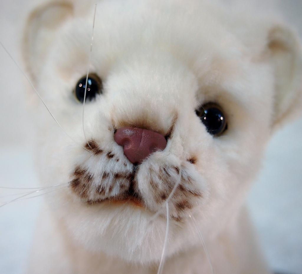 BH6362 HANSA Белый львенок 26