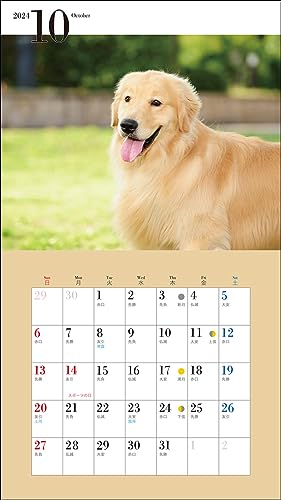 Календарь 2024 года Милый золотистый ретривер (Календарь Seibundo Shinkosha)