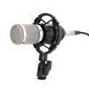Professional O Condenser Microphone Set Studio Sound Recording Mic with Shock Mount
