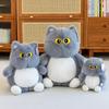 Soft Big Eyes Cat Plush Doll Fluffy Cat Stuff Doll Plush Pillow Cat Plush Toy  Children's Toys